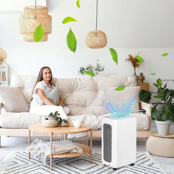 Sonnewelt Luftentfeuchter 26L mit Timerfunktion, Wäschetrockungsfunktion, Abtaufunktion
