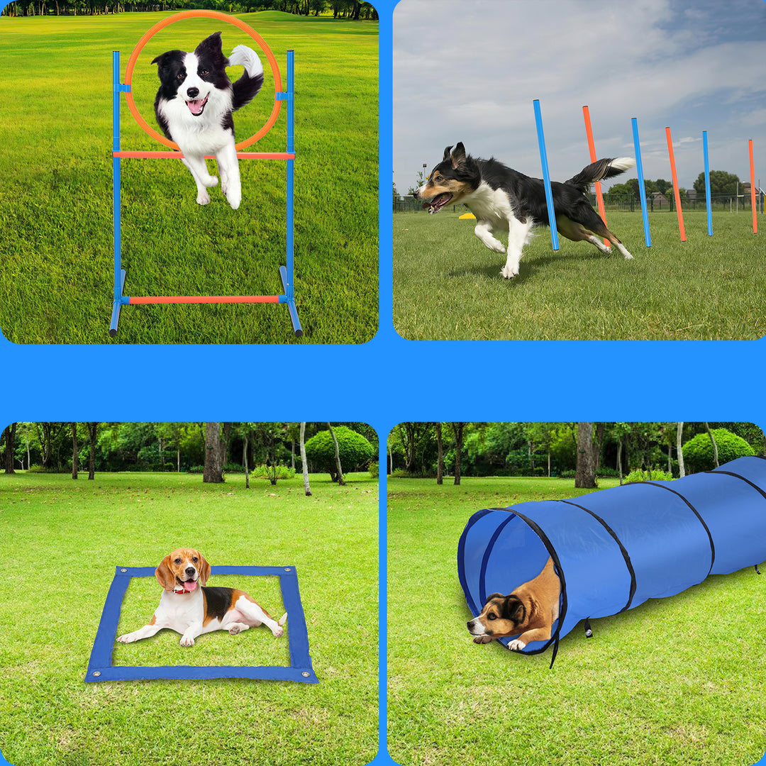 Sonnewelt Hundetraining Agility Set Hunde zubehör für Hunde