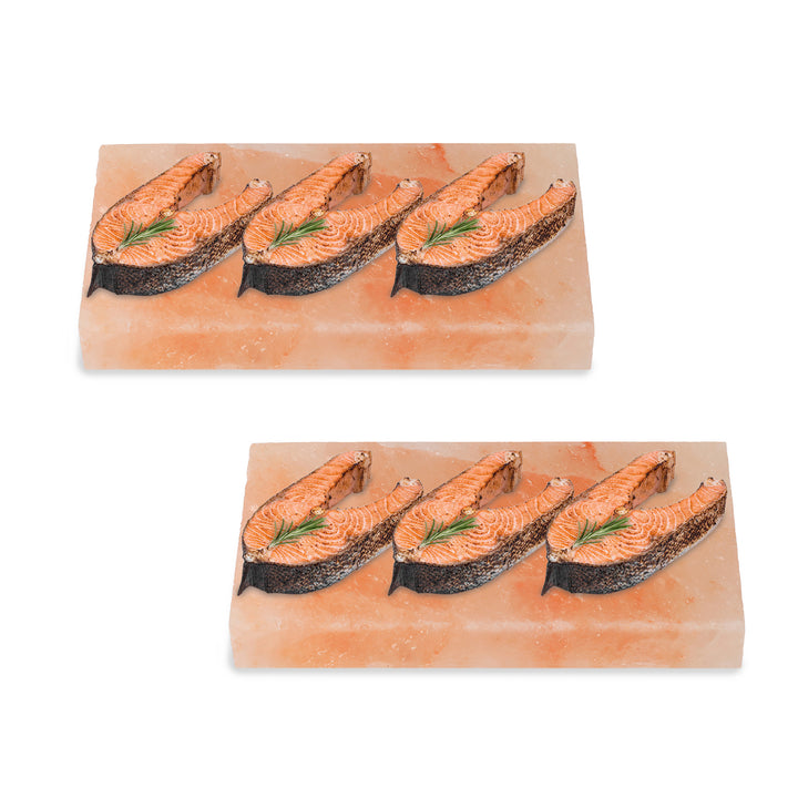 Sonnewelt Grill Salzstein BBQ 20x10x2.5CM 2er Set