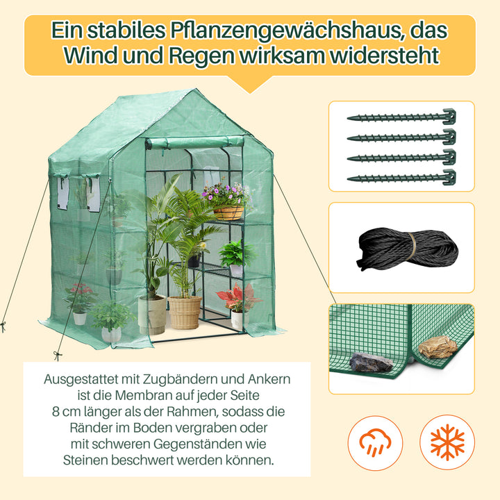 Sonnewelt Foliengewächshaus Gewächshaus mit Regalen
