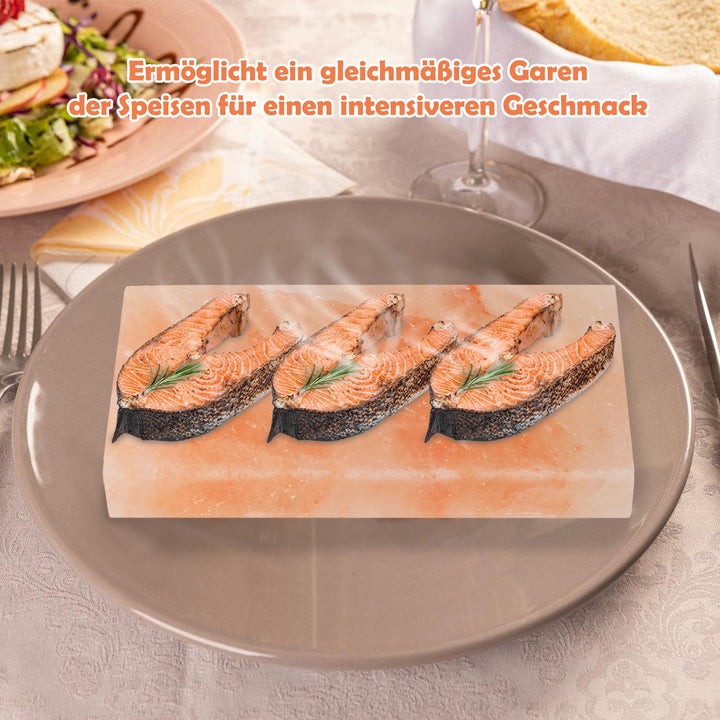 Sonnewelt Grill Salzstein BBQ 20x10x2.5CM 2er Set