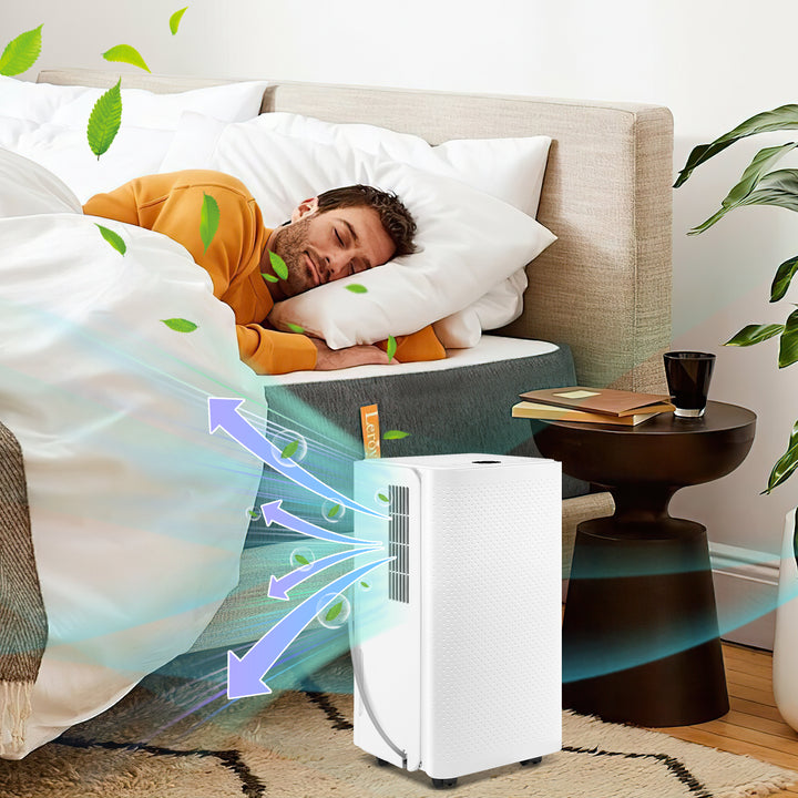 Sonnewelt Luftentfeuchter 16L mit Timerfunktion, Wäschetrockungsfunktion, Abtaufunktion