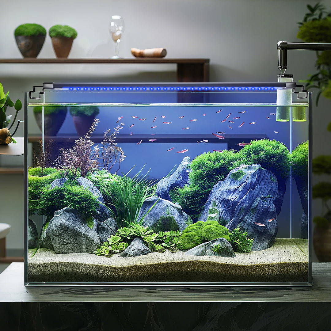 Aquarium Beleuchtung