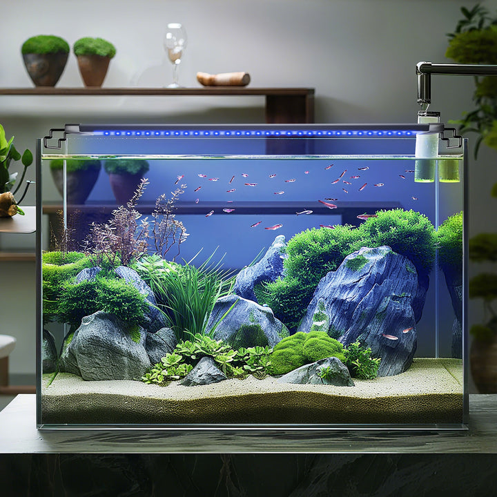 Aquarium Beleuchtung
