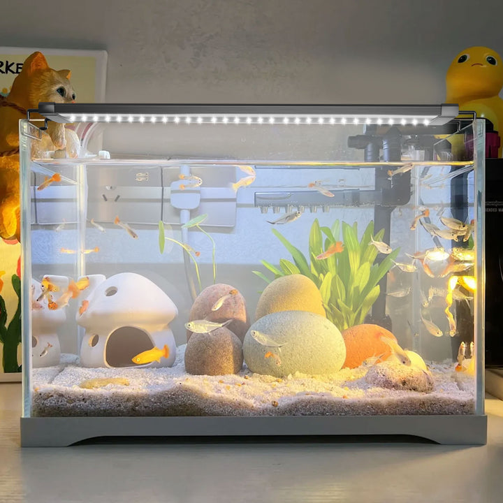 Aquarium Beleuchtung