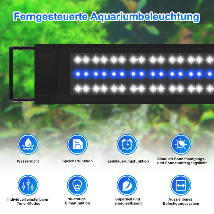 Aquarium Beleuchtung
