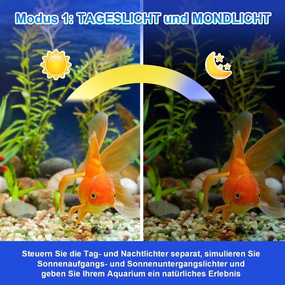 Aquarium Beleuchtung