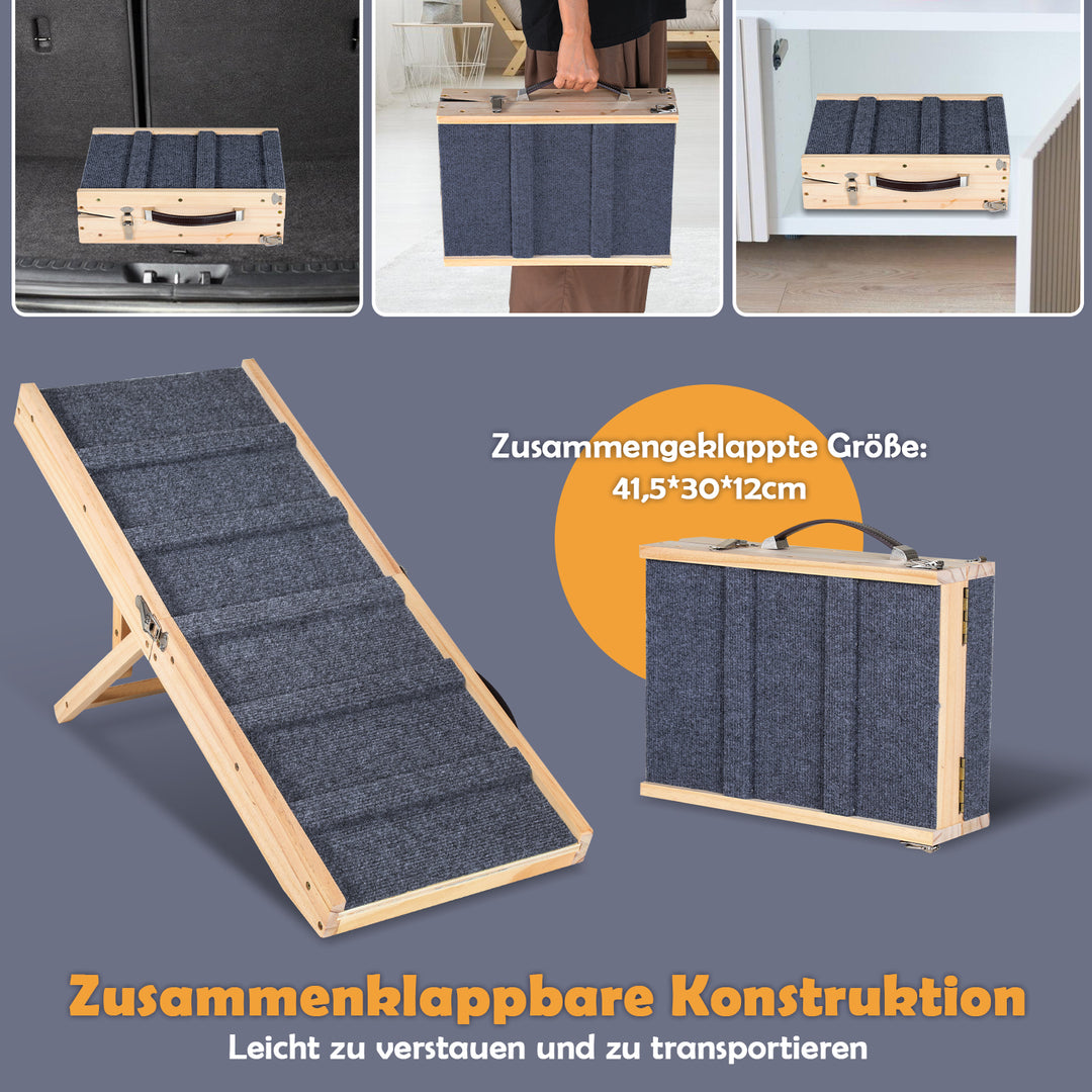 Hunderampe 