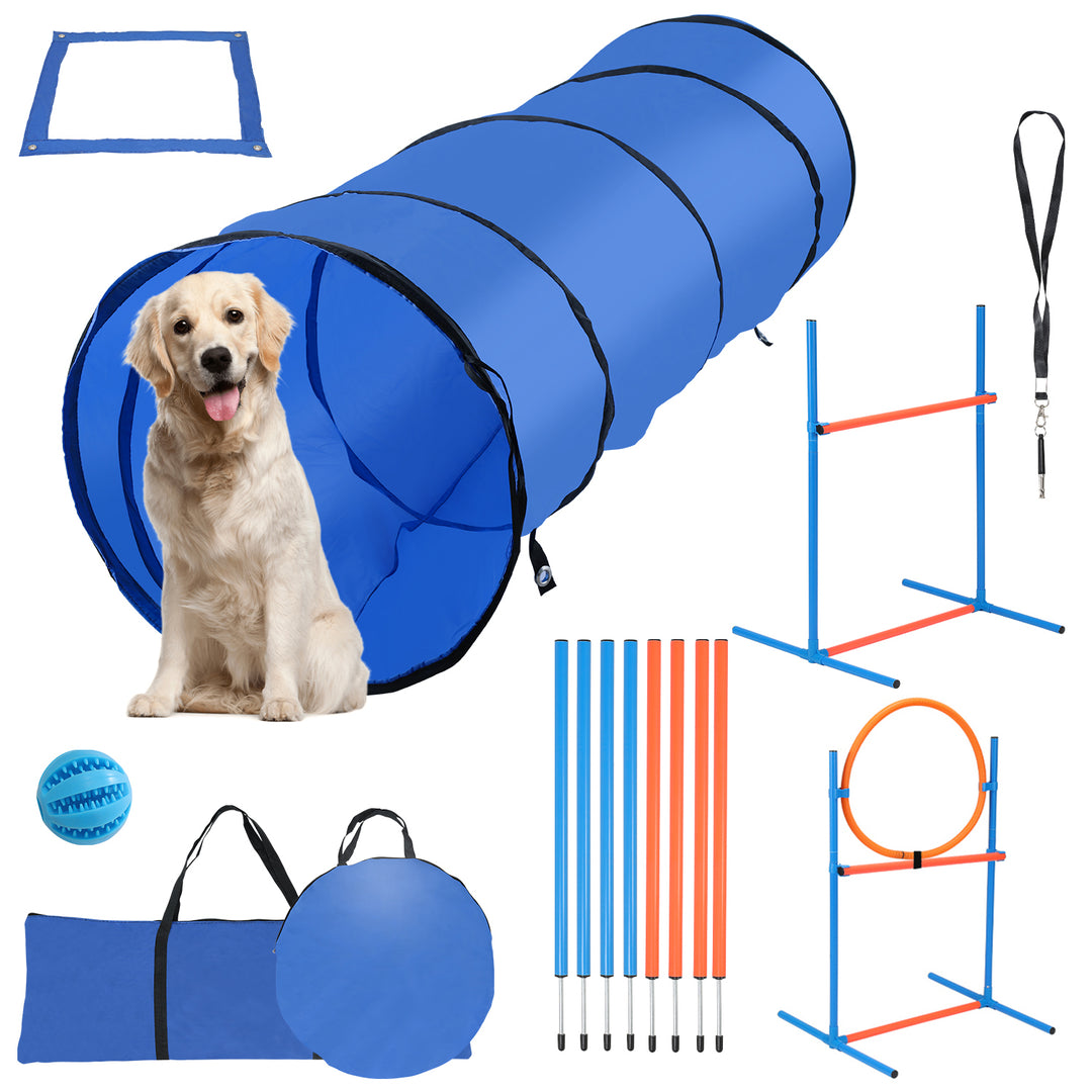 Hundetraining 