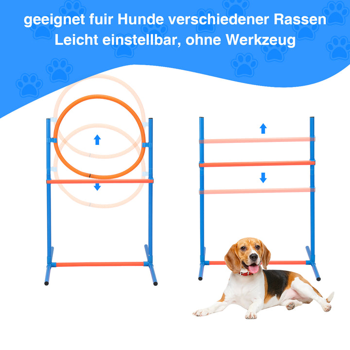 Hundetraining 