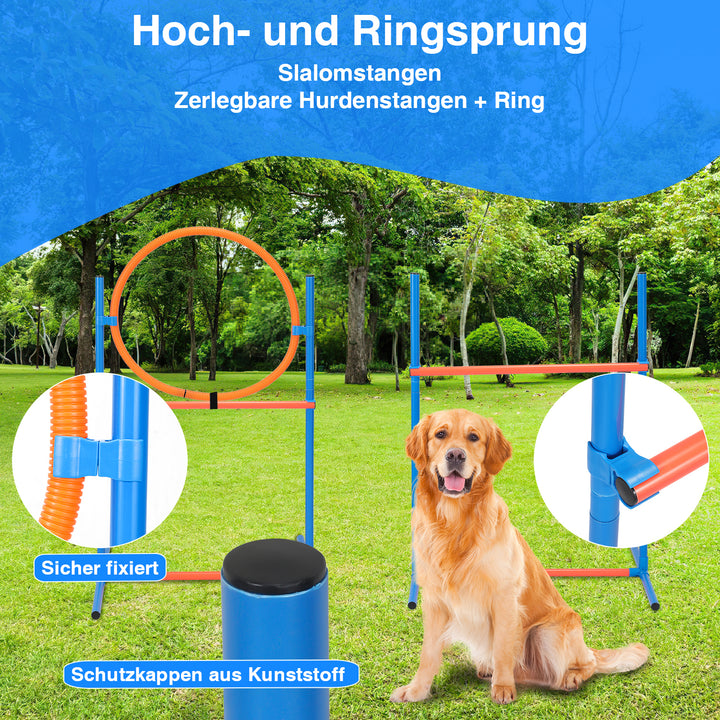 Hundetraining 