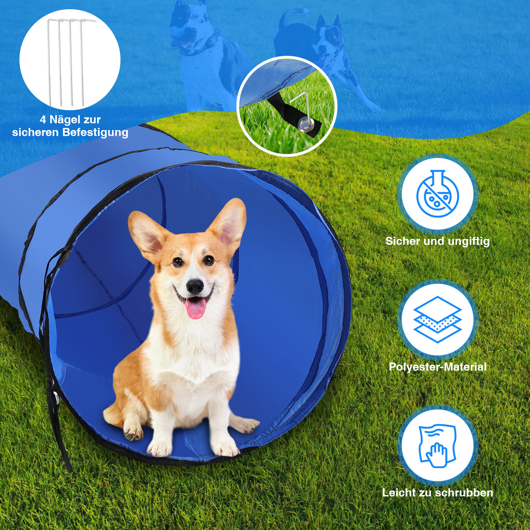 Hundetraining 