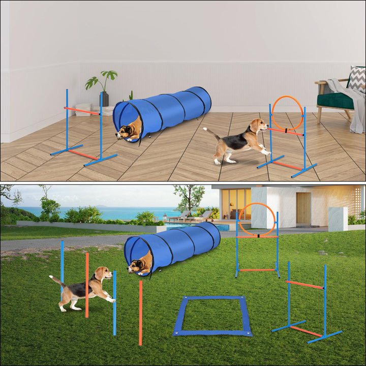 Hundetraining 
