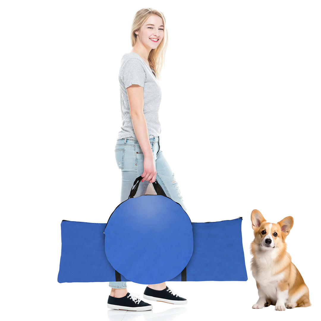 Hundetraining 