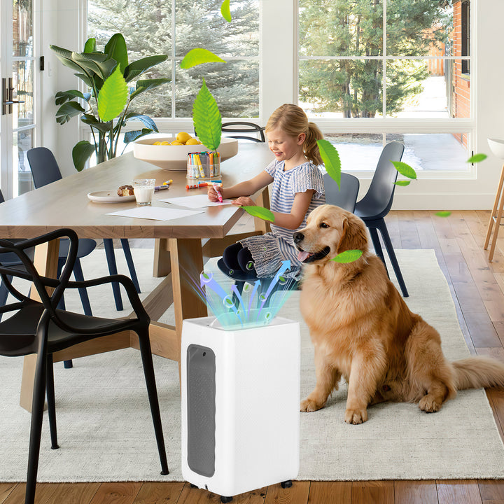 Sonnewelt Luftentfeuchter 26L mit Timerfunktion, Wäschetrockungsfunktion, Abtaufunktion