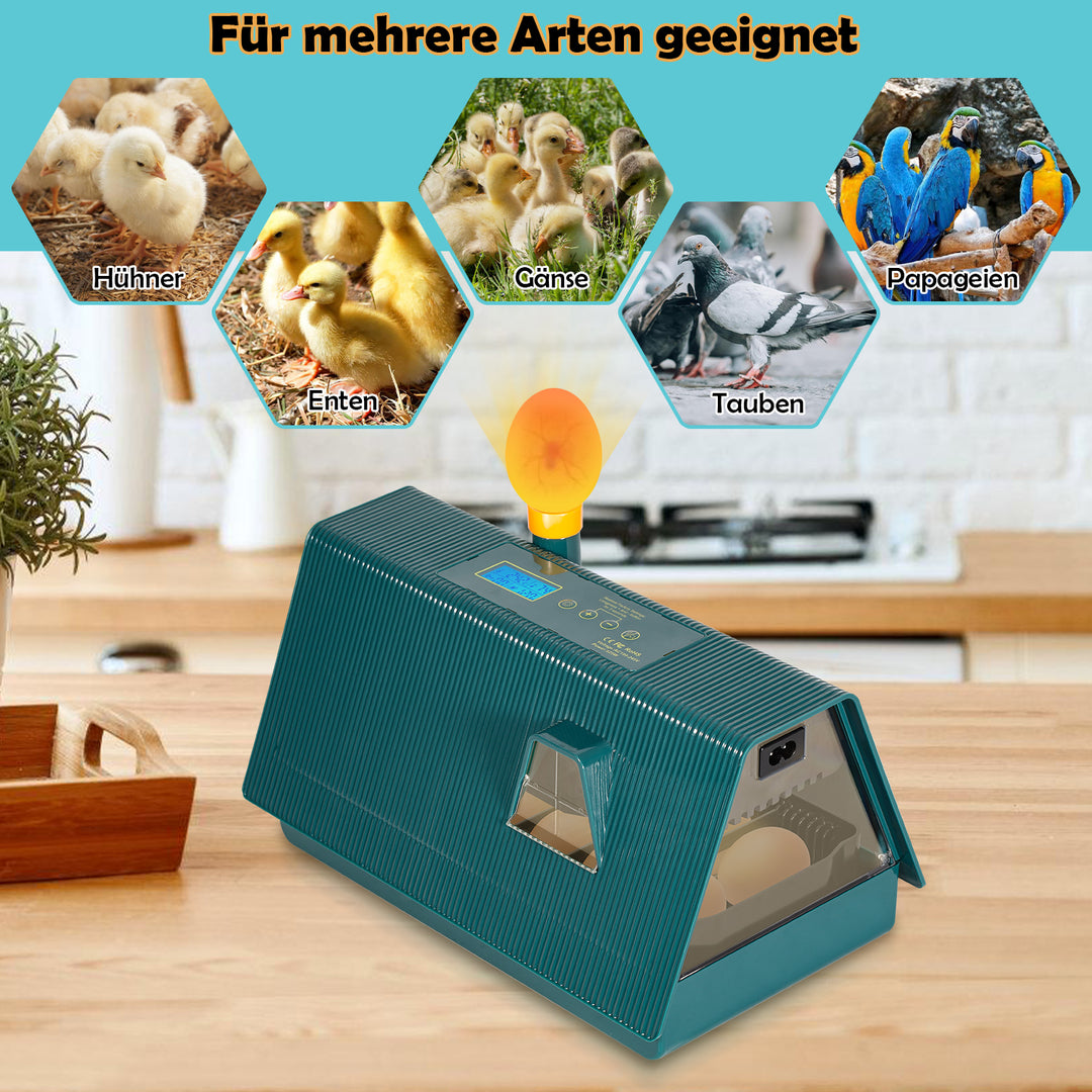 Sonnewelt Brutmaschine Inkubator automatik fur 10 Hühnereier