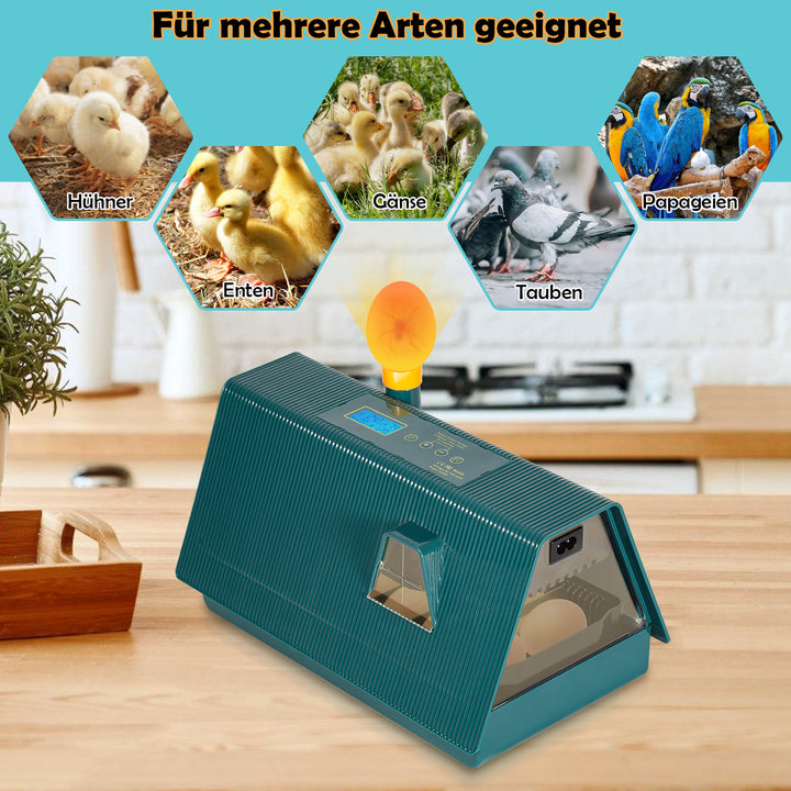 Sonnewelt Brutmaschine Inkubator automatik fur 10 Hühnereier