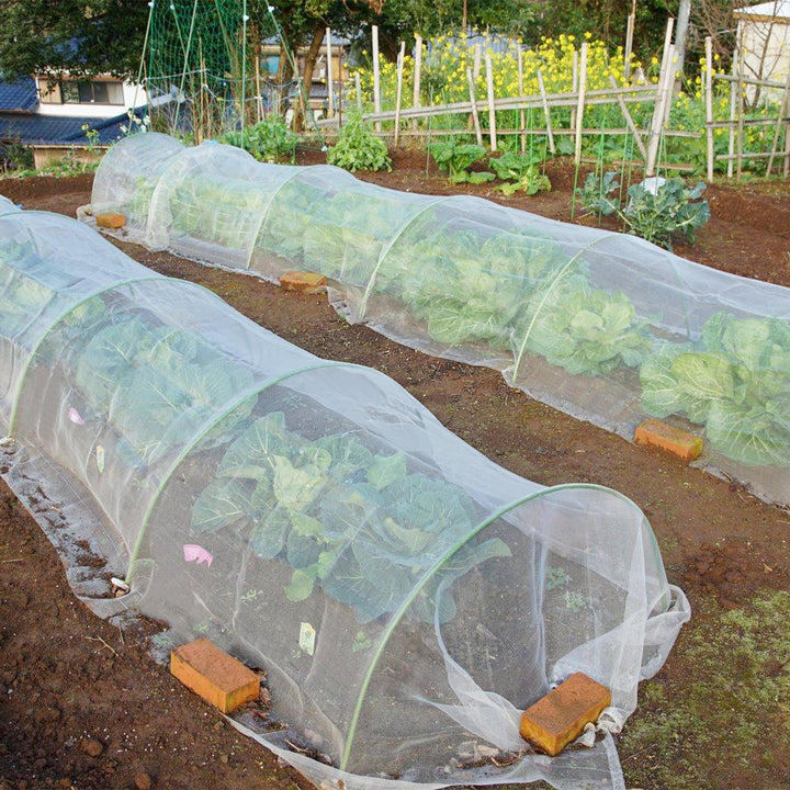 Sonnewelt Garteninsektennetz Pflanzenschutznetz 3x9m/3x10m
