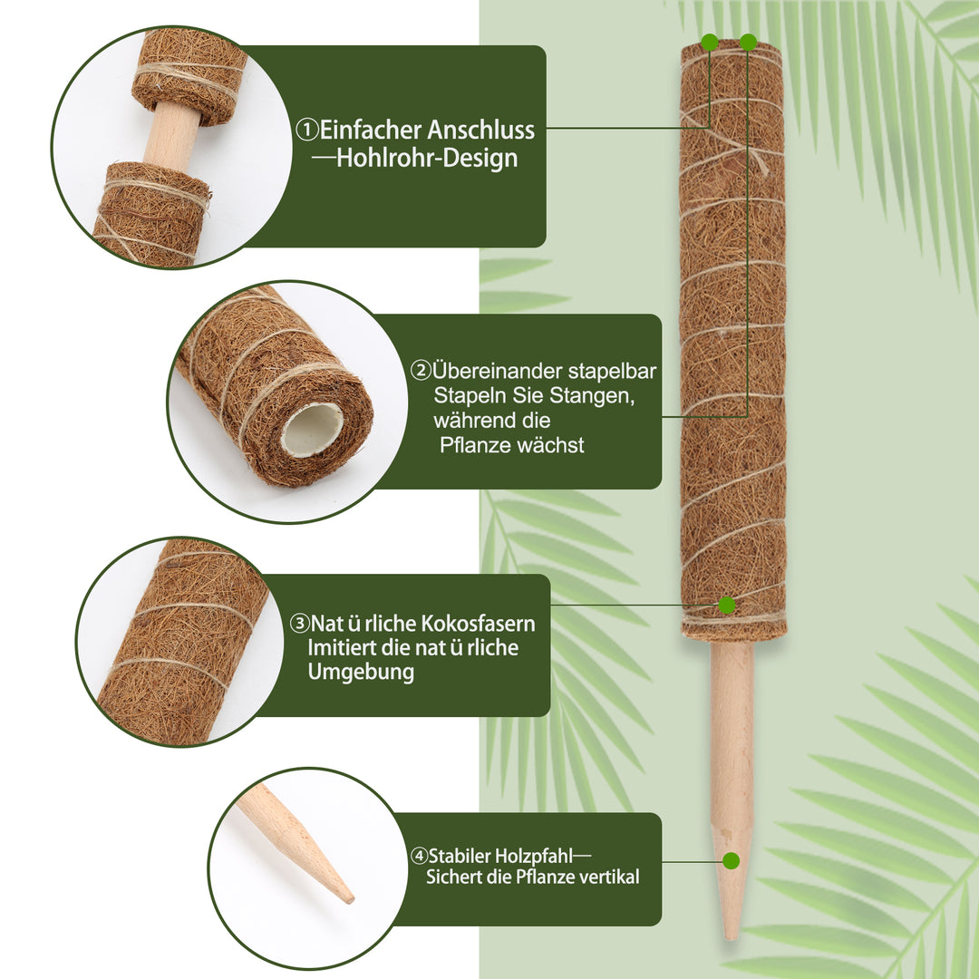 Sonnewelt Pflanzstab Kokos Monstera 2 Stück