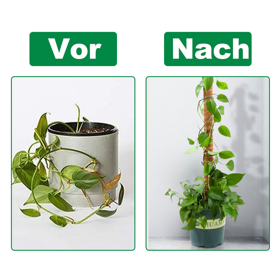 Sonnewelt Pflanzstab Kokos Monstera 2 Stück