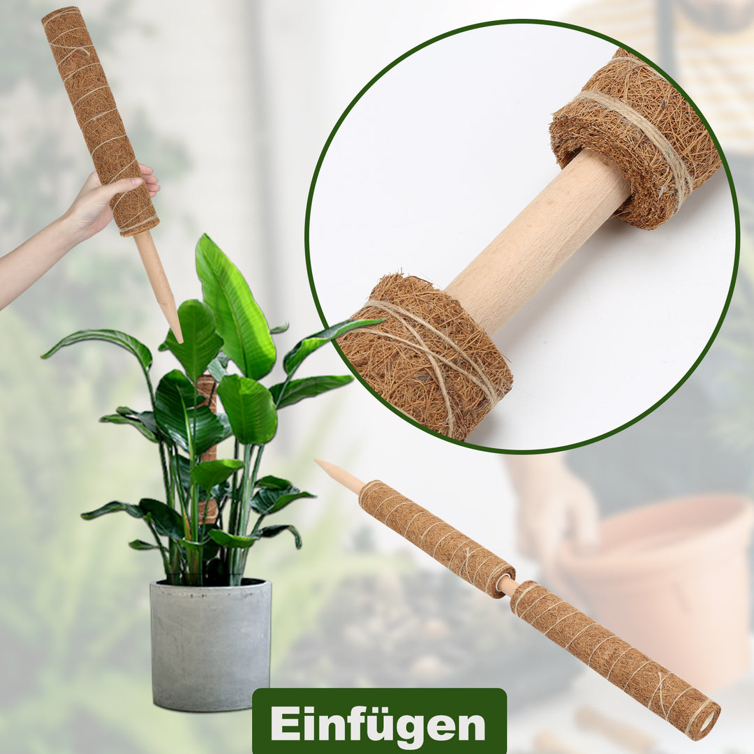 Sonnewelt Pflanzstab Kokos Monstera 2 Stück